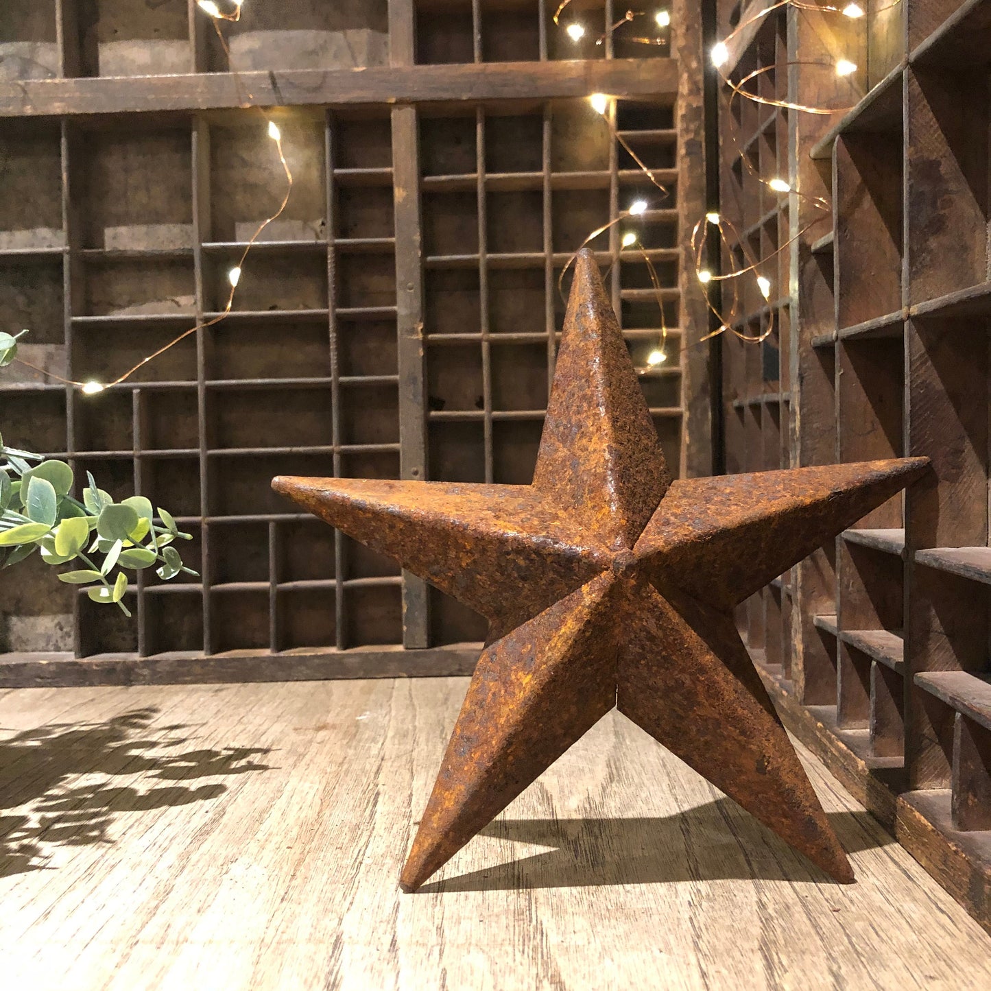 THE VEGA BARN STAR