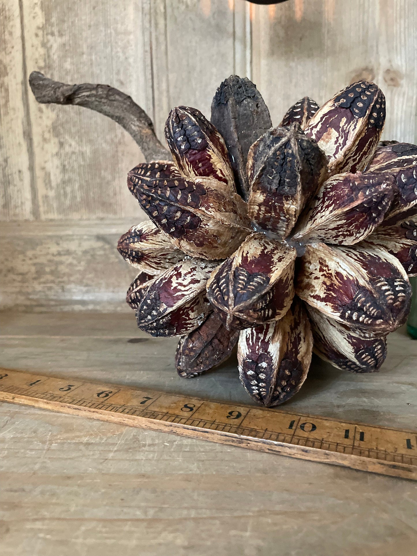 GIANT SEED BALL
