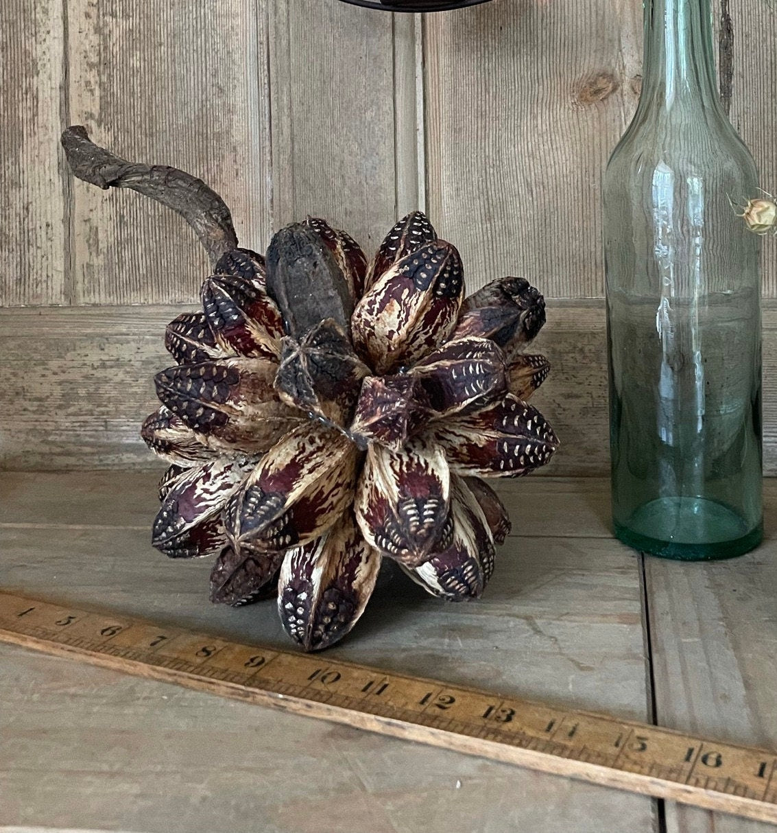 GIANT SEED BALL
