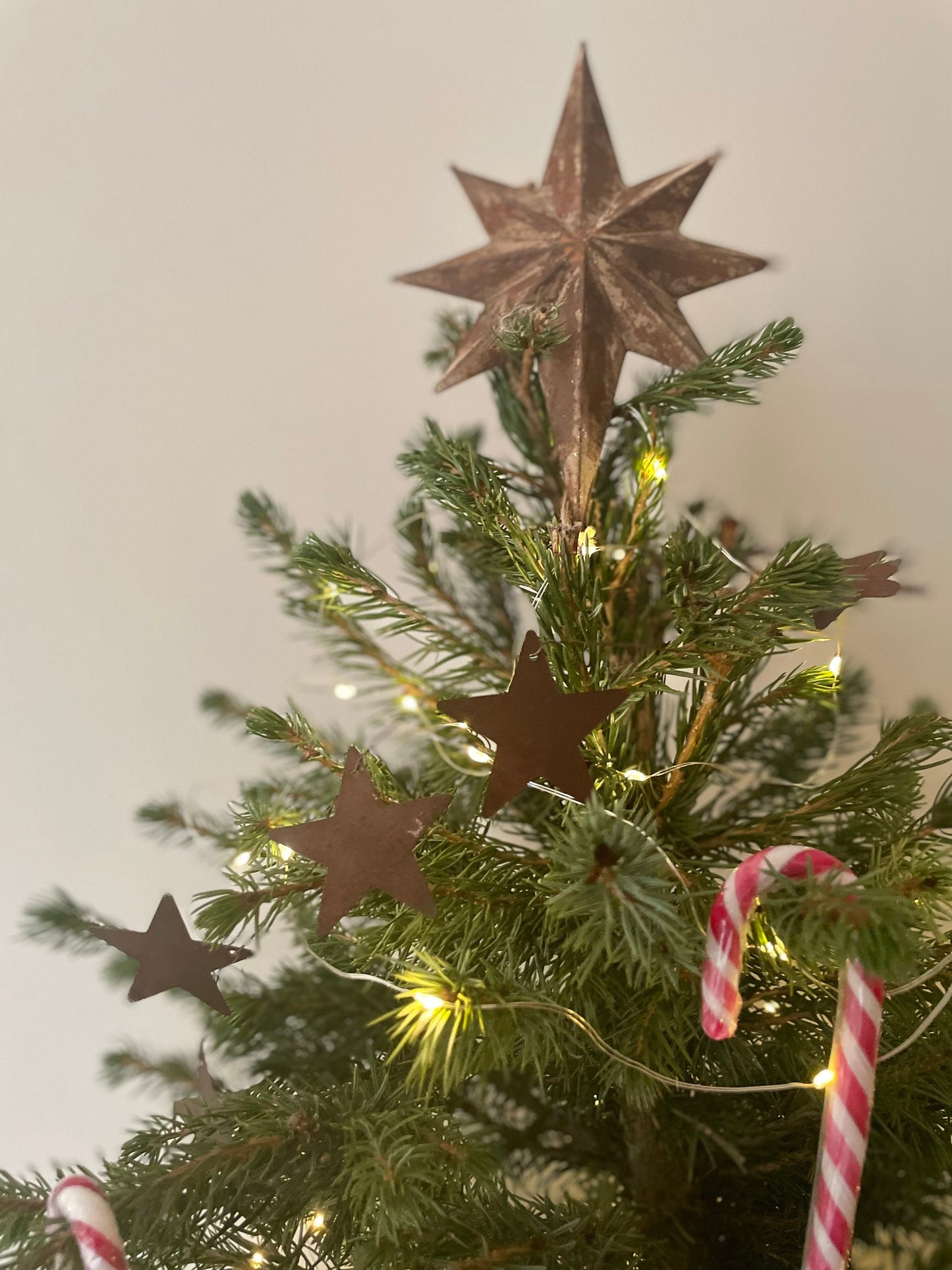 THE SASSA STAR GARLAND