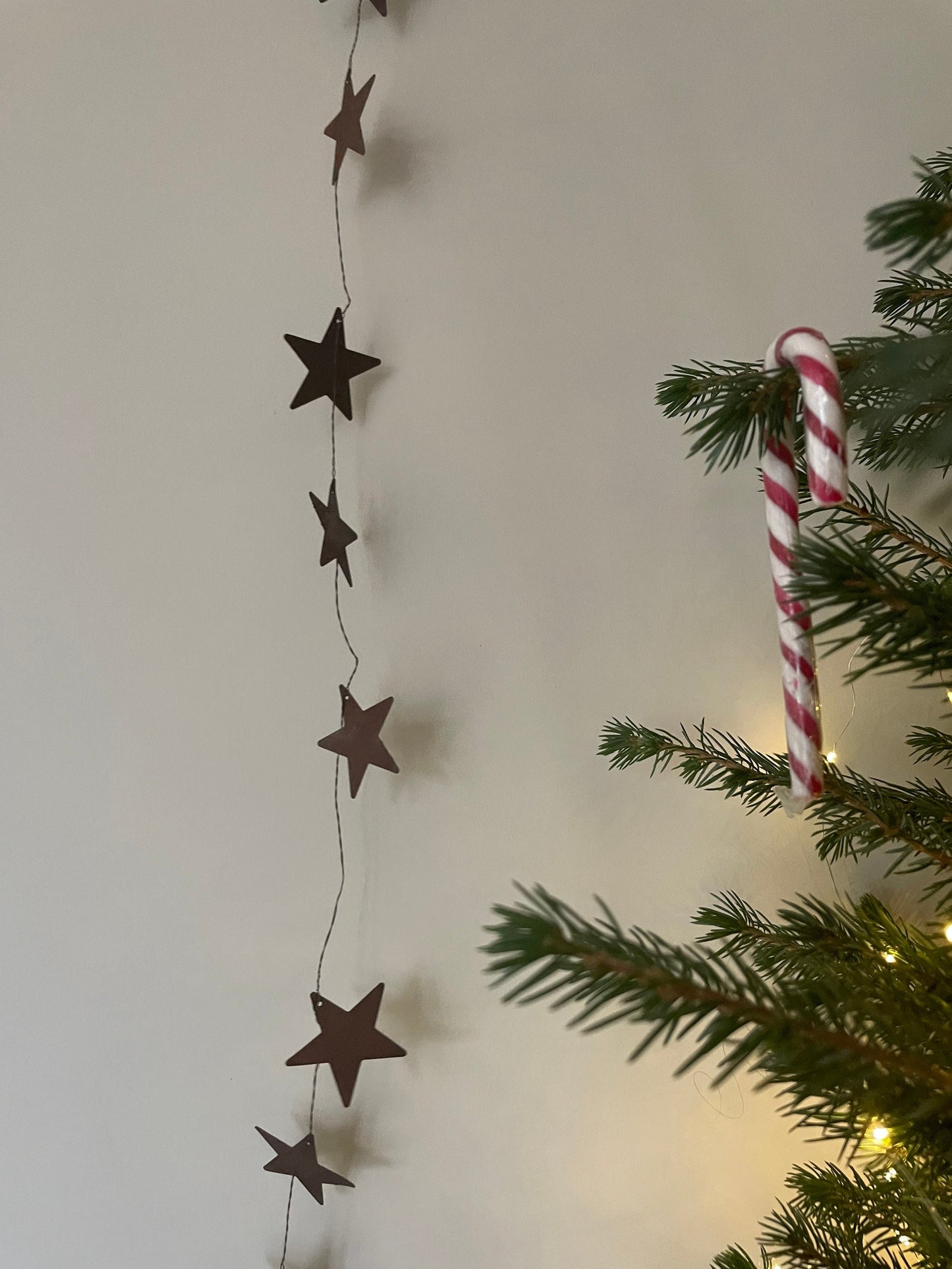 THE SASSA STAR GARLAND