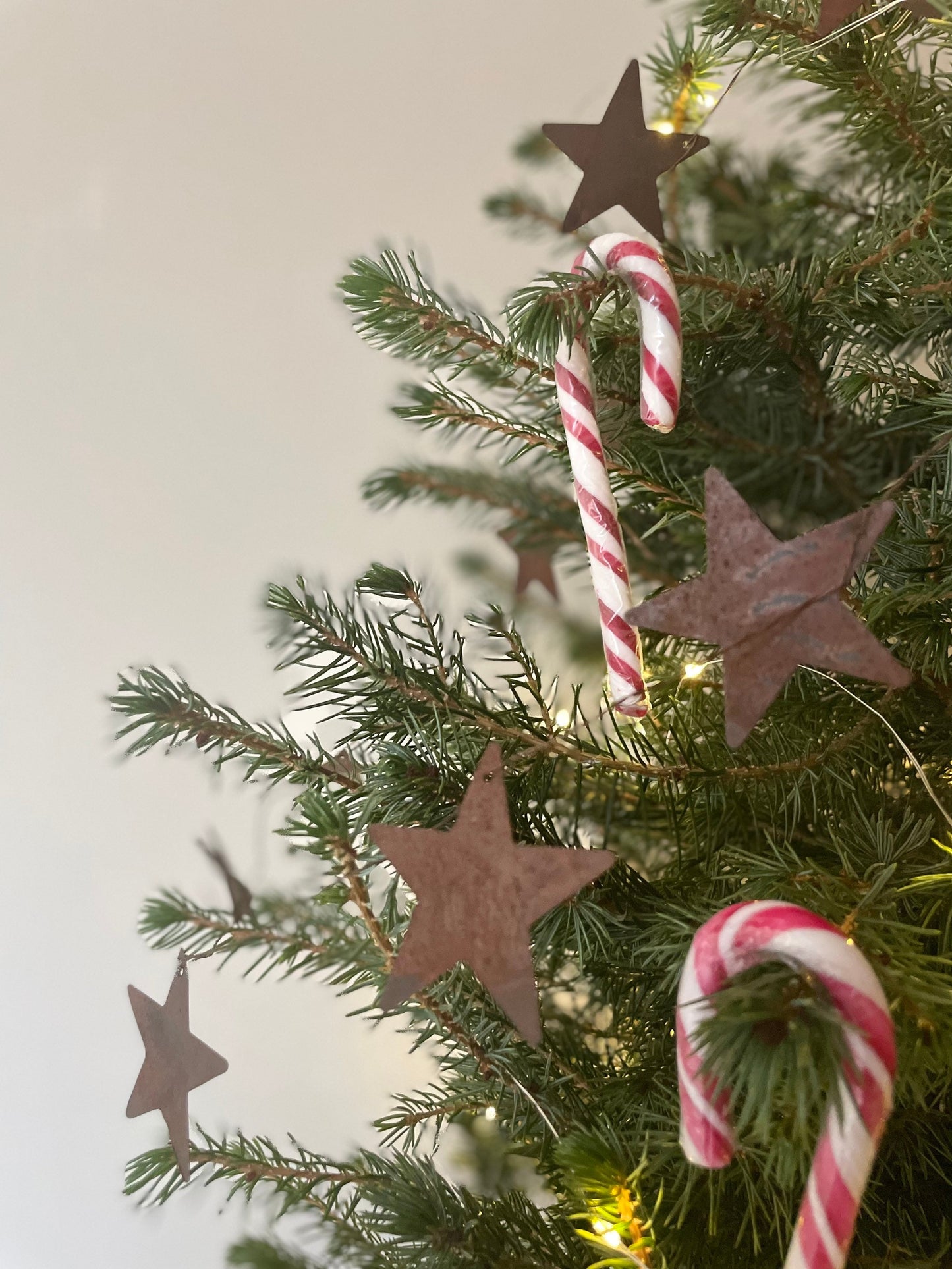 THE SASSA STAR GARLAND