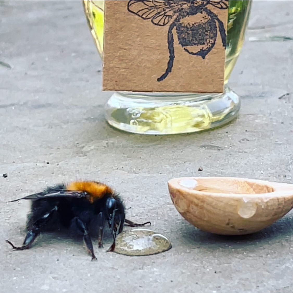 BEE SAVIOUR - ELIXIR FOR BEES