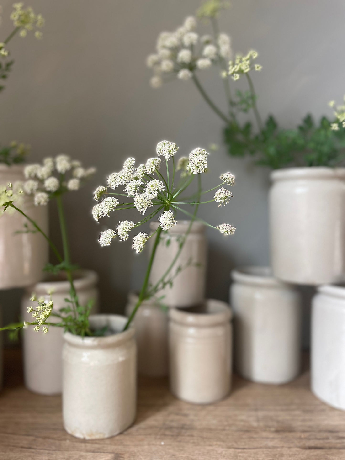 VINTAGE MARMALADE POTS - lipped