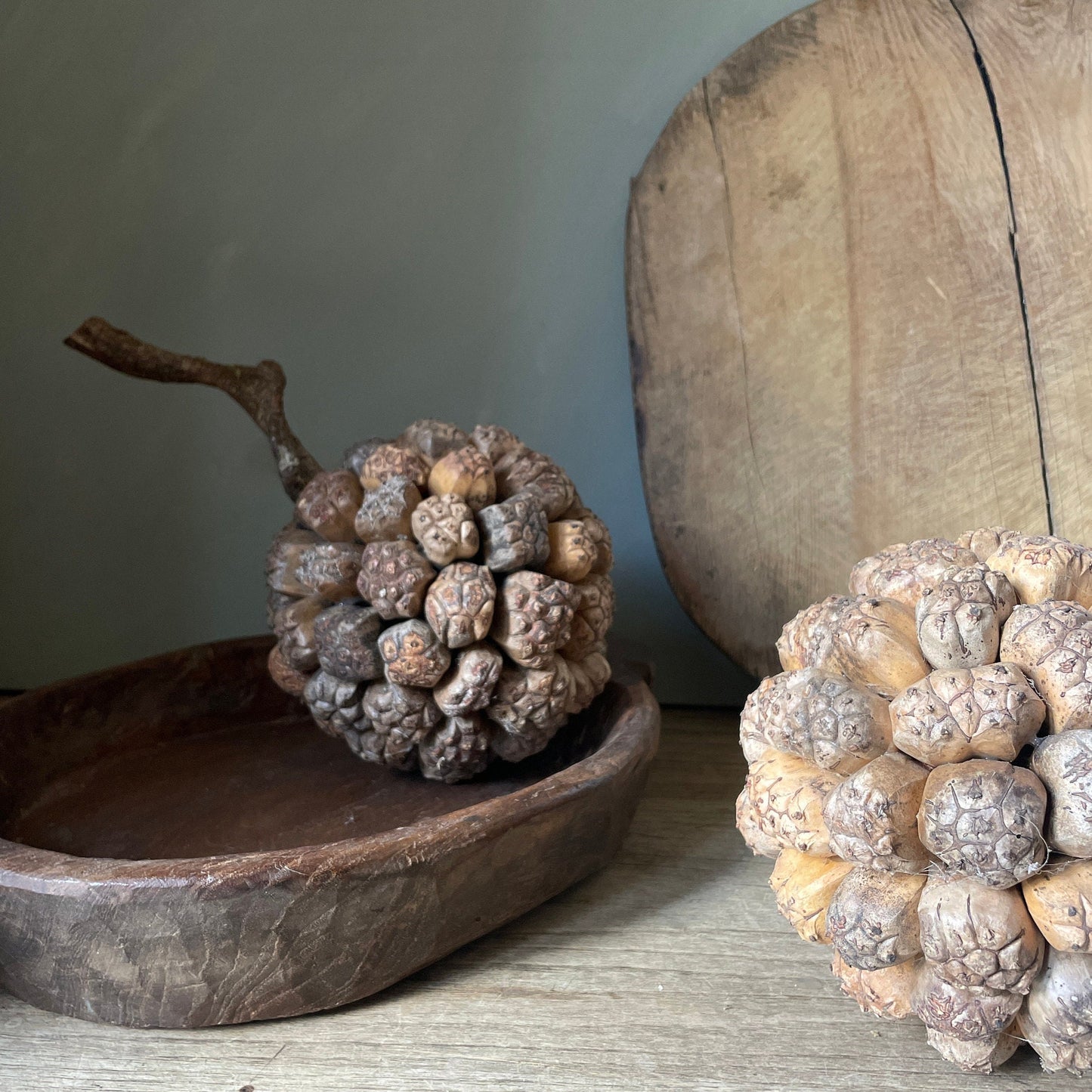 GIANT PANDANUS SEED BALL