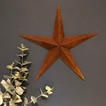 THE VEGA BARN STAR