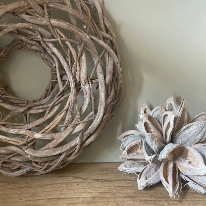 BLEACHED GIANT SEED POD