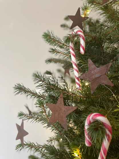 THE SASSA STAR GARLAND