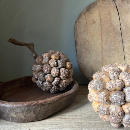 GIANT PANDANUS SEED BALL