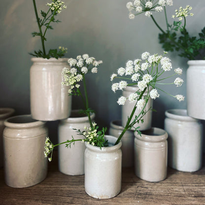 VINTAGE MARMALADE POTS - lipped